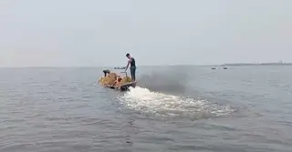 সুনামগঞ্জে ধান লুট করে পালালো কয়েক গ্রামের মানুষ
